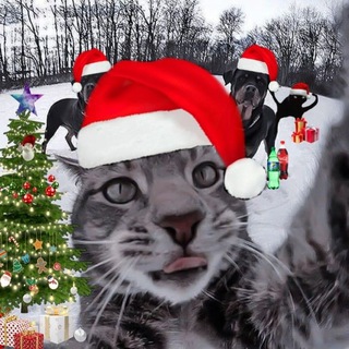 Смоук и друзья