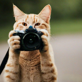 Эффектное Позирование