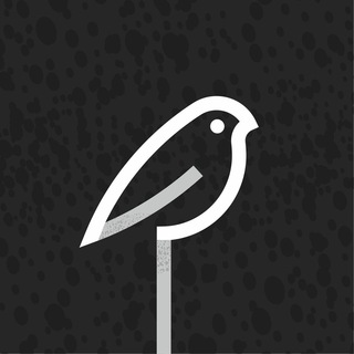 🎬 Студия Снегири | Курсы для сценаристов, писателей, режиссеров 📚