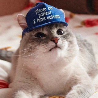 Снег на голову