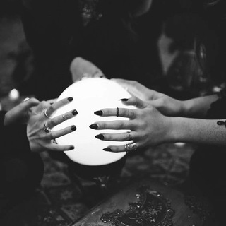 Сны Мандрагоры