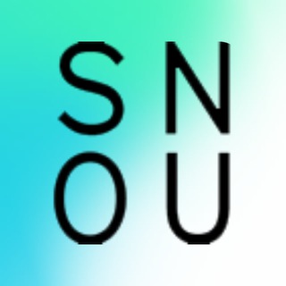 SNOU | Архитектурное бюро