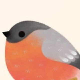 snow rowan - релизы