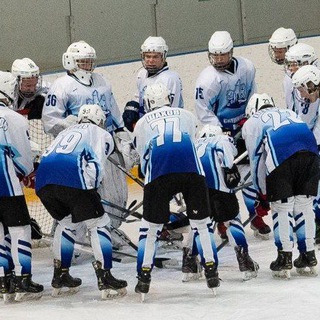 Снежинские Волки ❤️🤍