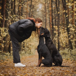 Дожьи рожи и Добер жопка