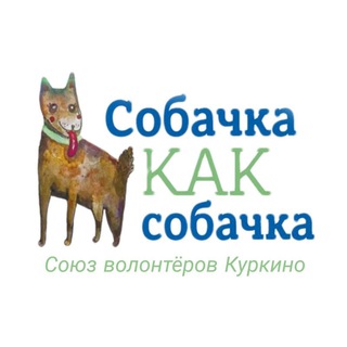 СобачкаКакСобачка