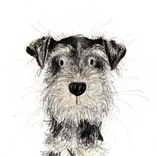 Собачка дня