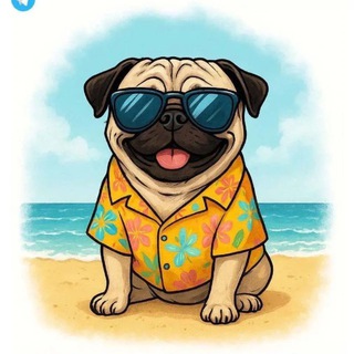 Собака Модняка