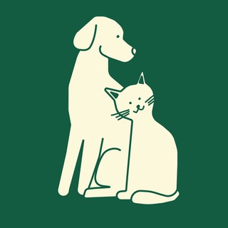 Приют Некрасовка, 7 сектор, Москва