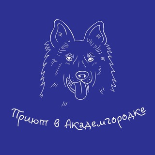 Приют Академгородка