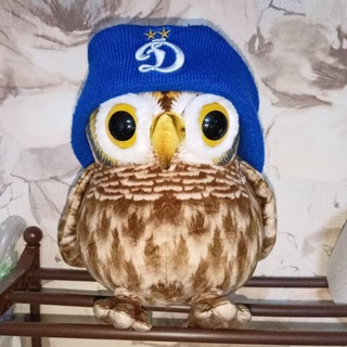 Сочтовая Пова