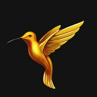 Студия «Огненный Феникс»