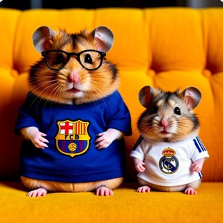 Хомяки на диване 🛋 Sofa hamsters