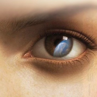 SofaScout | диванный ресерч