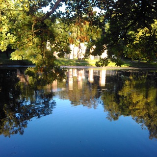 Софи Виге. Что-то про творчество и дурацкие мысли