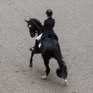 𝐬𝐨𝐟𝐲𝐚_𝐝𝐫𝐞𝐬𝐬𝐚𝐠𝐞