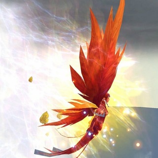 Путь к совершенству