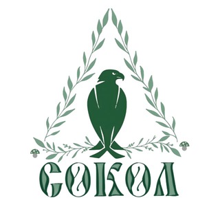 приРОДоисЦЕЛение💚🦅СОКОЛ