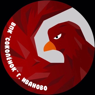 ВПК "СОКОЛЁНОК", г. Иваново, Юнармия37