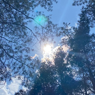 СОЛЯРИЗАЦИЯ 🌞🇷🇺