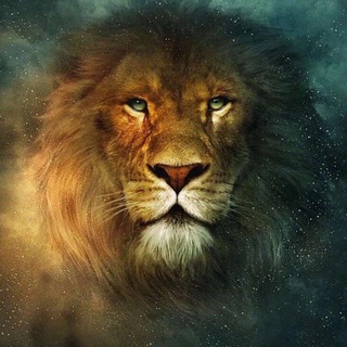 Солнечный Красноярск