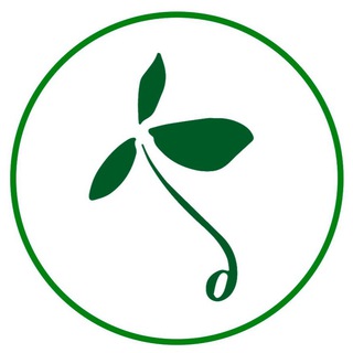 SolodStudio|Арт&Ботаника | гербарий МАСТЕР-КЛАССЫ в Ботаническом саду