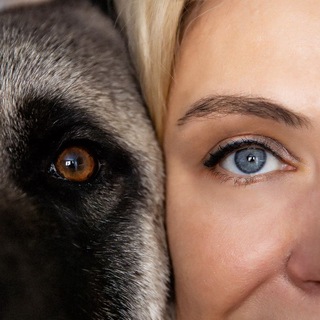 Истории про собак и не только.|Ира Соловьёва