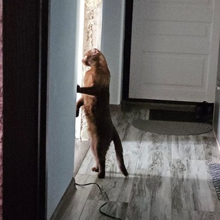 Поля и архивы