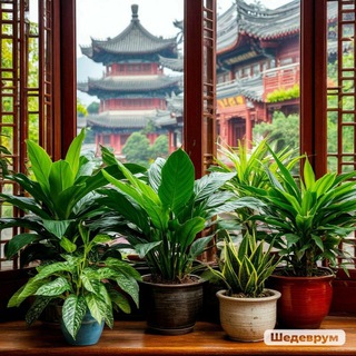 Что-то на китайском