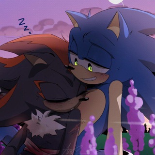 ₊˚⊹Sonic and his "Shadow"⊹˚₊