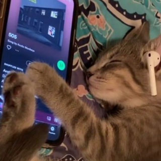 songs confessions 🎶