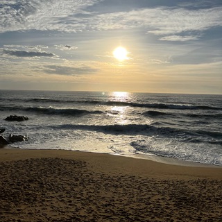 Songs, Movies and Oysters