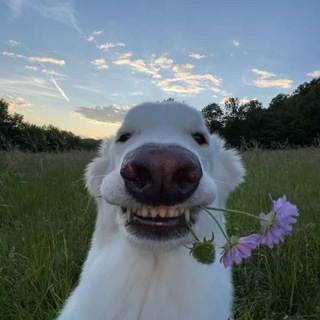 Funk gym | Hardstyle