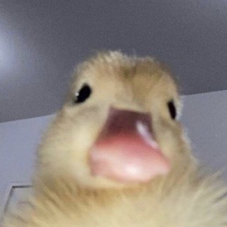 с любовью, маша сопкина