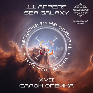 🍷 17-й Салон ОПВиКА 26.1