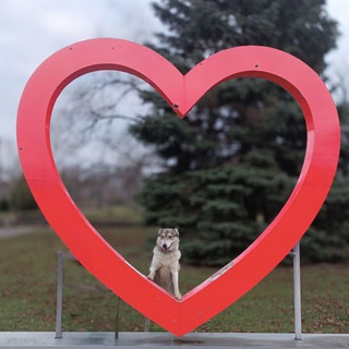 ᴦᴇнᴇᴩᴀᴧ ᴦᴀʙᴄ 🫡