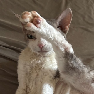 — Sos confession —