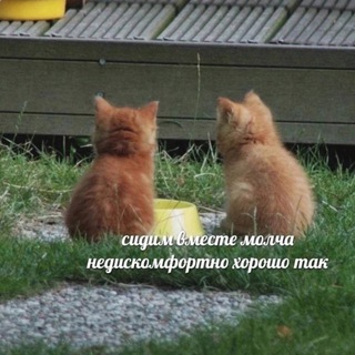 СОСЕДКА ЧАТ 📌