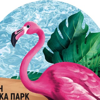 Бассейн | Сосновка Парк 🦩