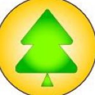 ДОЛ «Сосновый Бор»