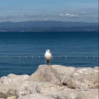 Со средой | life.fm fr SPb