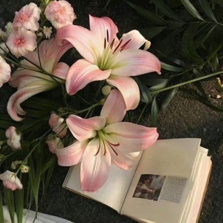 уголок души 🍵