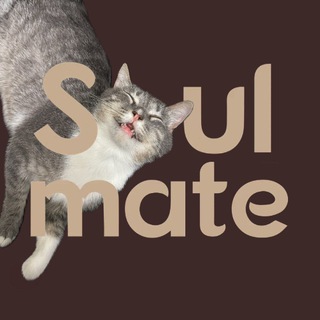 Котокафе Soulmate