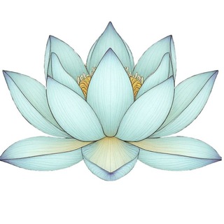 Звук лотоса|Sound Lotus