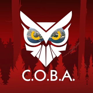 С.О.В.А | С Обществом Вместе - Анапа