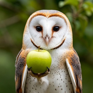 Сова Необыкновенная | PRO-Здоровье