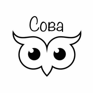 Сова | Факты со всего света