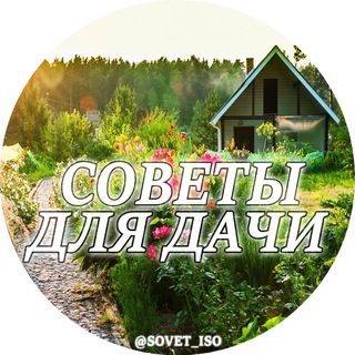 🏘 Советы для дачи