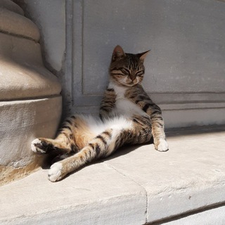 Со вкусом Лондóна