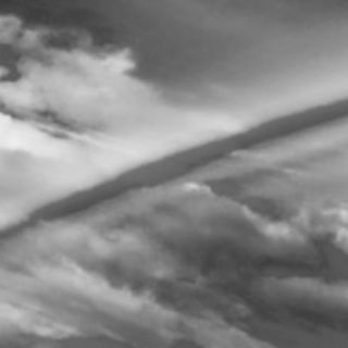 Социалистическое общественное явление @